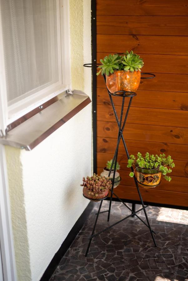Appartement Myriviéra